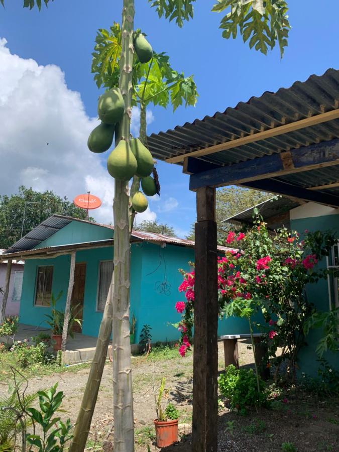 Alba House Villa Puerto Jimenez Bagian luar foto